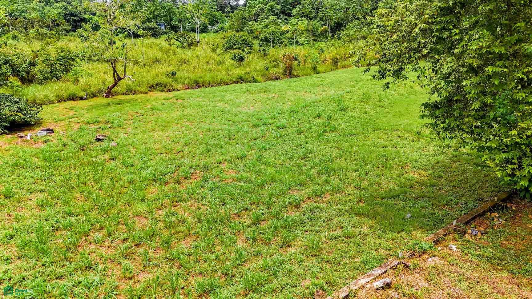 Coronado, Osa, Coronado, Osa, Puerto Corts, Osa, Puntarenas, Costa Rica 60501 Coronado, Osa, Coronado, Osa, Puerto Corts, Osa, Puntarenas, Costa Rica 60501