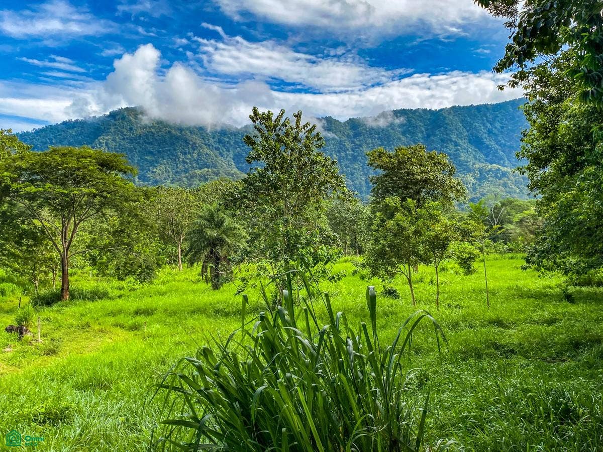 Ojochal, Ojochal, Puerto Corts, Osa, Puntarenas, Costa Rica 60501