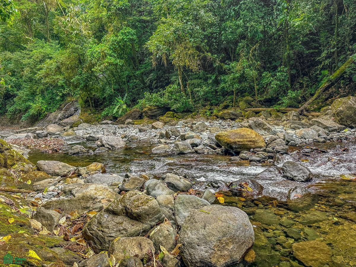 Ojochal, Ojochal, Puerto Corts, Osa, Puntarenas, Costa Rica 60501