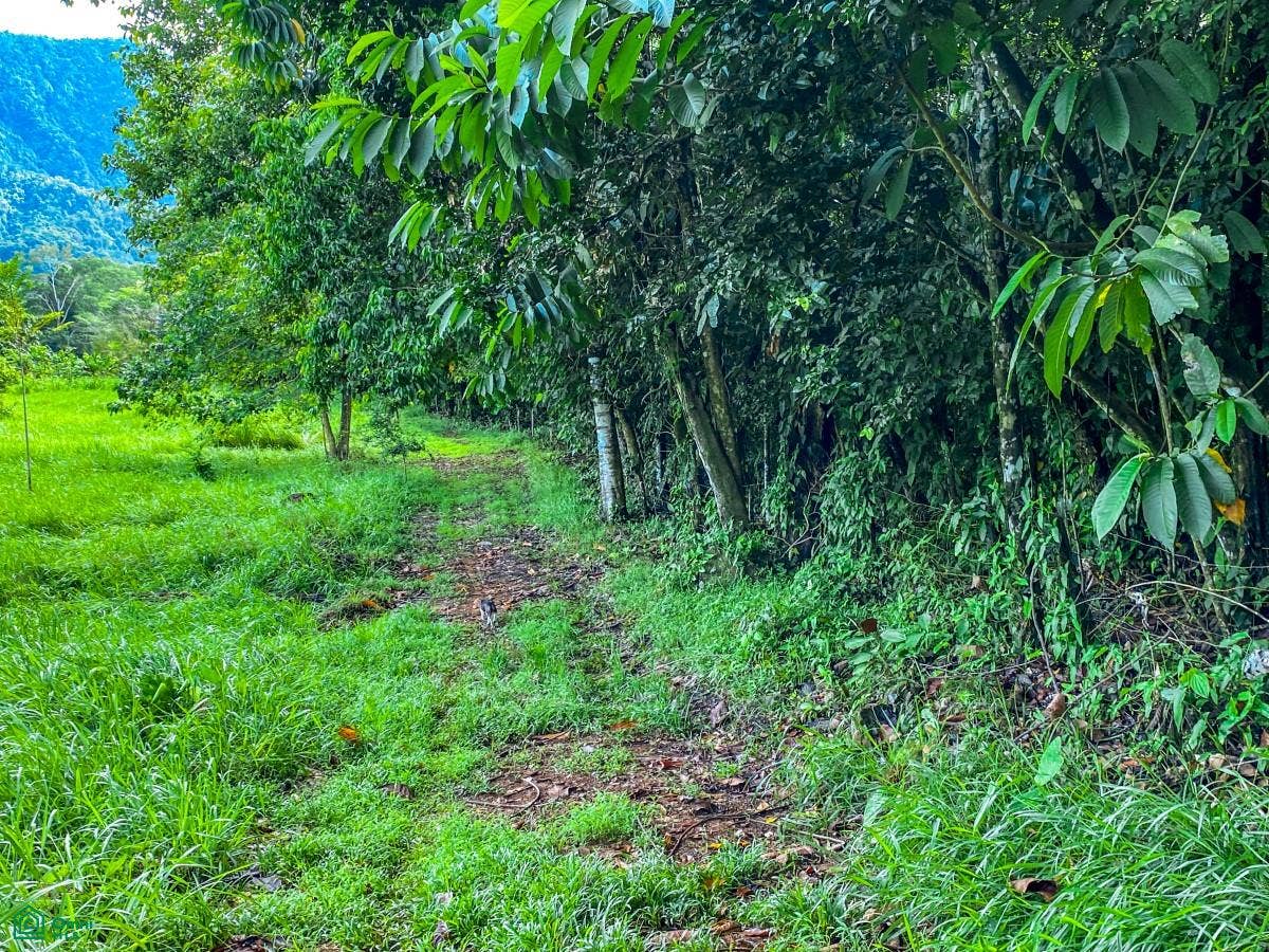 Ojochal, Ojochal, Puerto Corts, Osa, Puntarenas, Costa Rica 60501