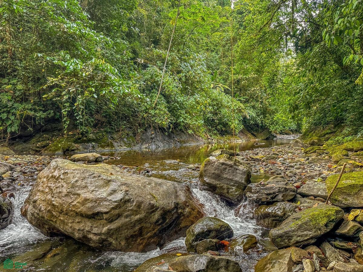 Ojochal, Ojochal, Puerto Corts, Osa, Puntarenas, Costa Rica 60501