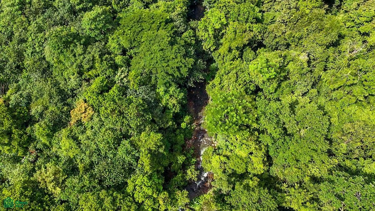 Ojochal, Ojochal, Puerto Corts, Osa, Puntarenas, Costa Rica 60501