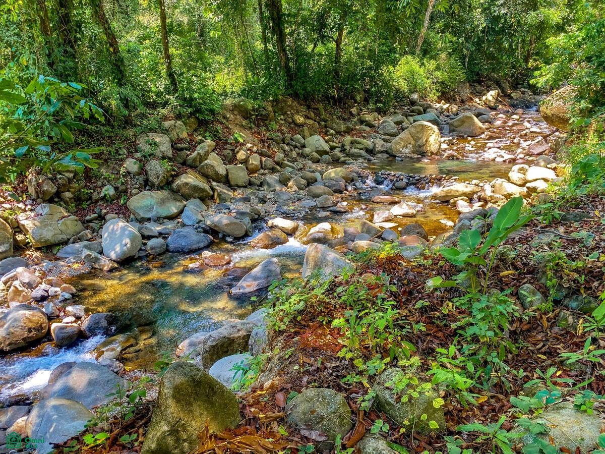 Ojochal, Ojochal, Puerto Corts, Osa, Puntarenas, Costa Rica 60501