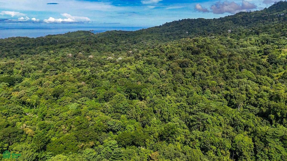 Ojochal, Ojochal, Puerto Corts, Osa, Puntarenas, Costa Rica 60501