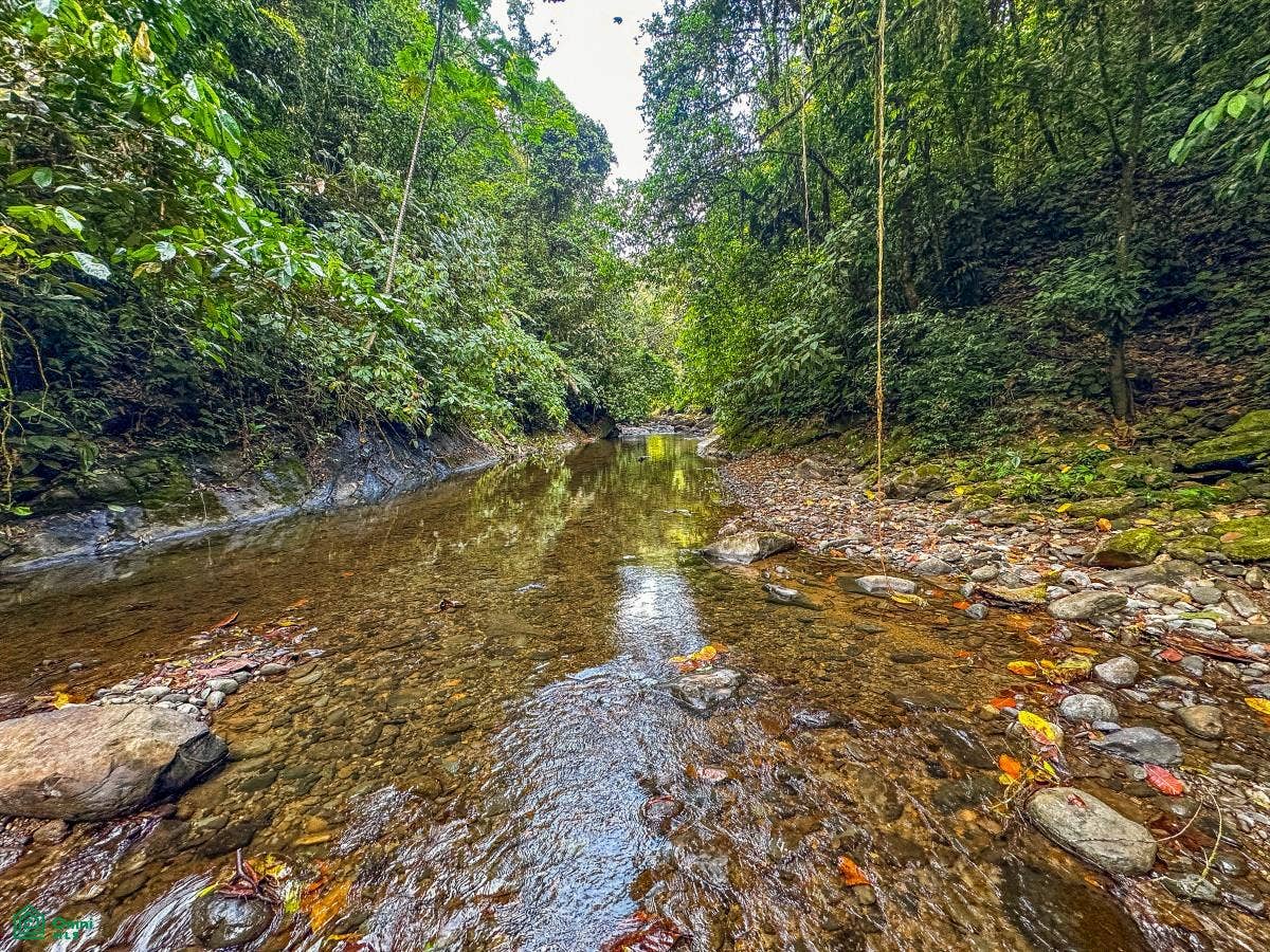 Ojochal, Ojochal, Puerto Corts, Osa, Puntarenas, Costa Rica 60501