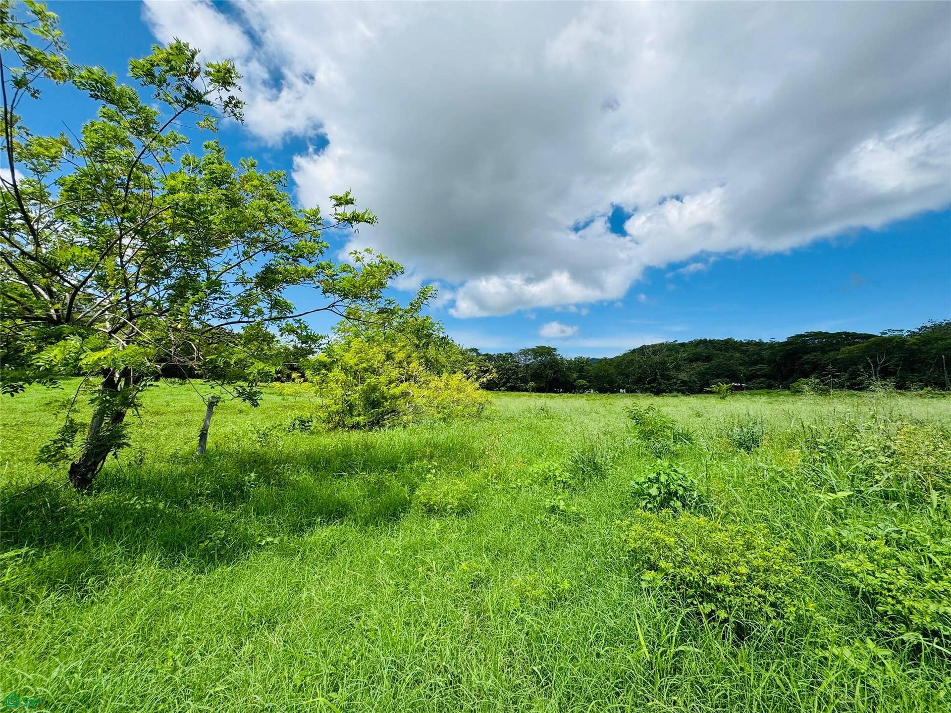 Lot 1500m2 Matapalo, Matapalo, Cabo Velas, Santa Cruz, Guanacaste, Costa Rica 50308 Lot 1500m2 Matapalo, Matapalo, Cabo Velas, Santa Cruz, Guanacaste, Costa Rica 50308