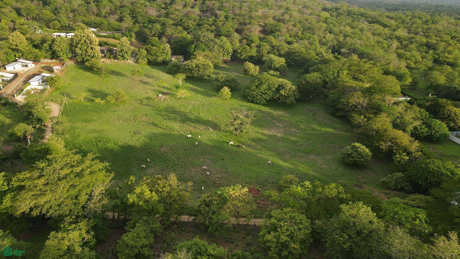 Lot 1500m2 Matapalo, Matapalo, Cabo Velas, Santa Cruz, Guanacaste, Costa Rica 50308 Lot 1500m2 Matapalo, Matapalo, Cabo Velas, Santa Cruz, Guanacaste, Costa Rica 50308
