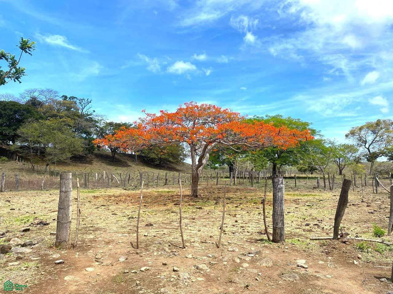 Carretera Playa Cabuyal, El Triunfo, Nacascolo, Liberia, Guanacaste, Costa Rica 50906