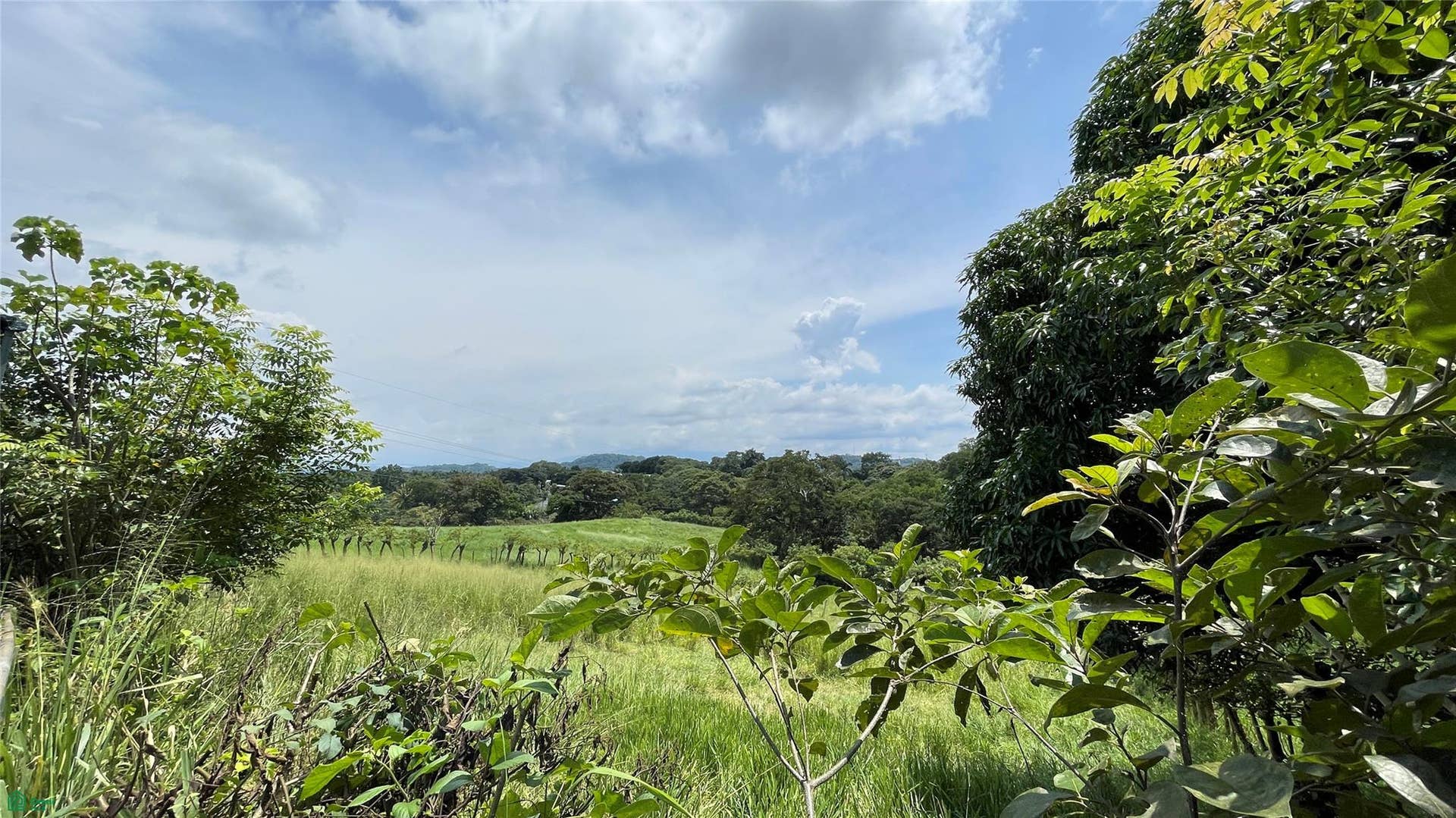 Residencial Monte, Atenas, Atenas, Alajuela, Costa Rica 20506