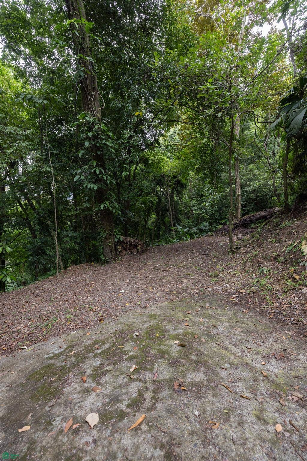 Manuel Antonio, Quepos, Quepos, Puntarenas, Costa Rica 60601