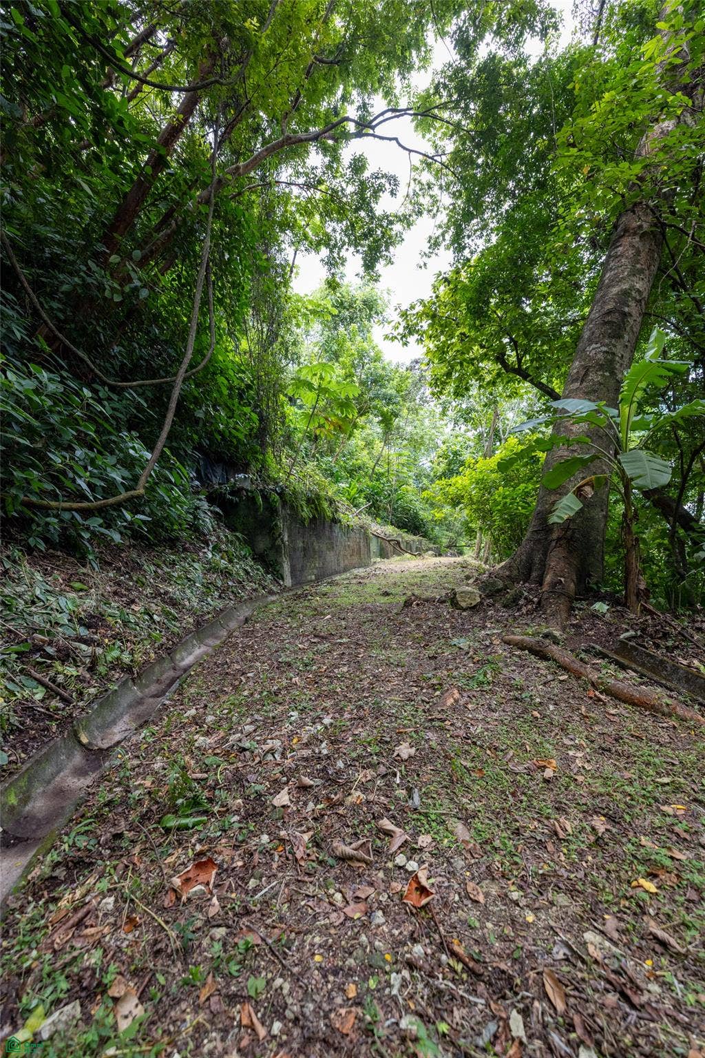 Manuel Antonio, Quepos, Quepos, Puntarenas, Costa Rica 60601