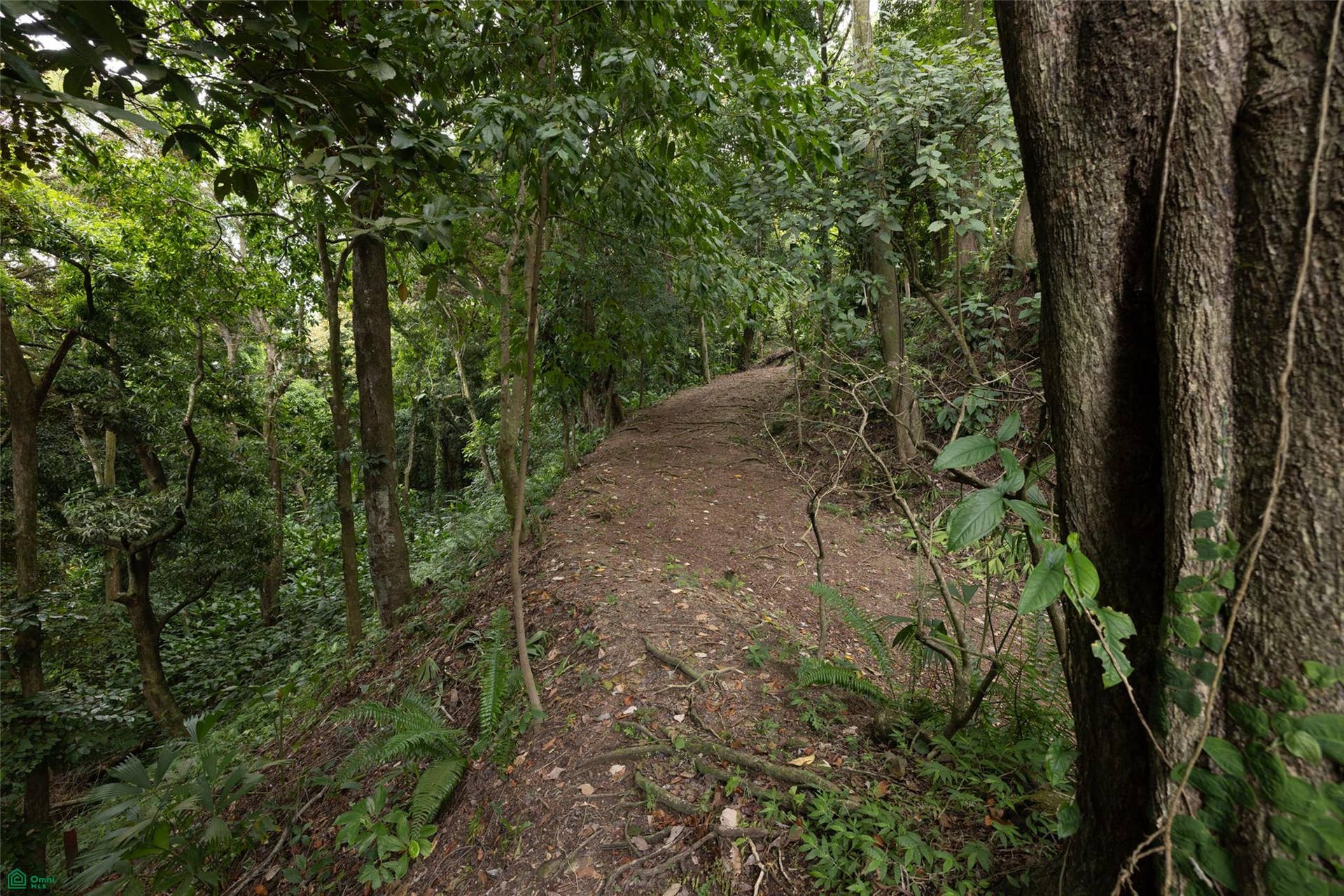 Manuel Antonio, Quepos, Quepos, Puntarenas, Costa Rica 60601