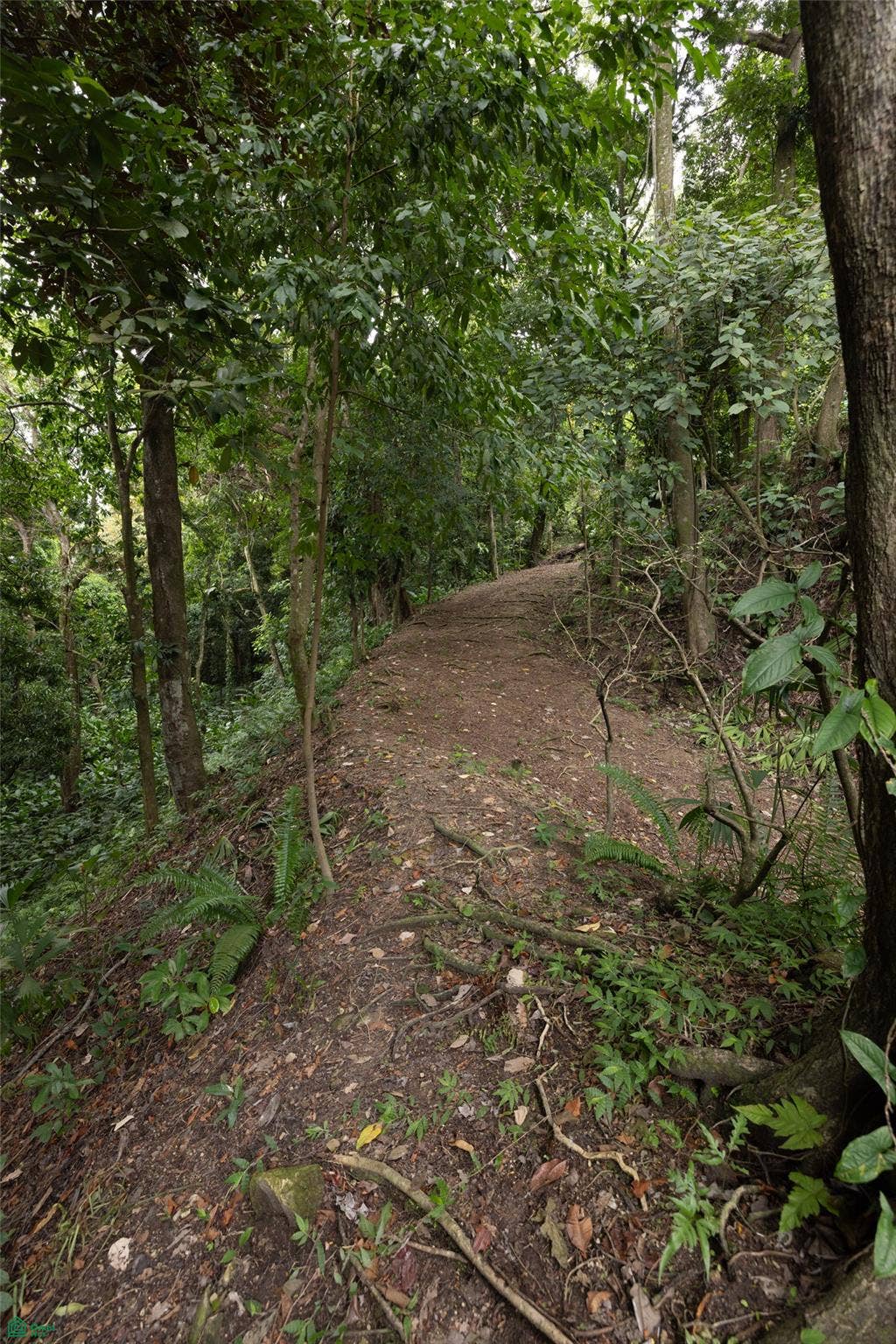 Manuel Antonio, Quepos, Quepos, Puntarenas, Costa Rica 60601