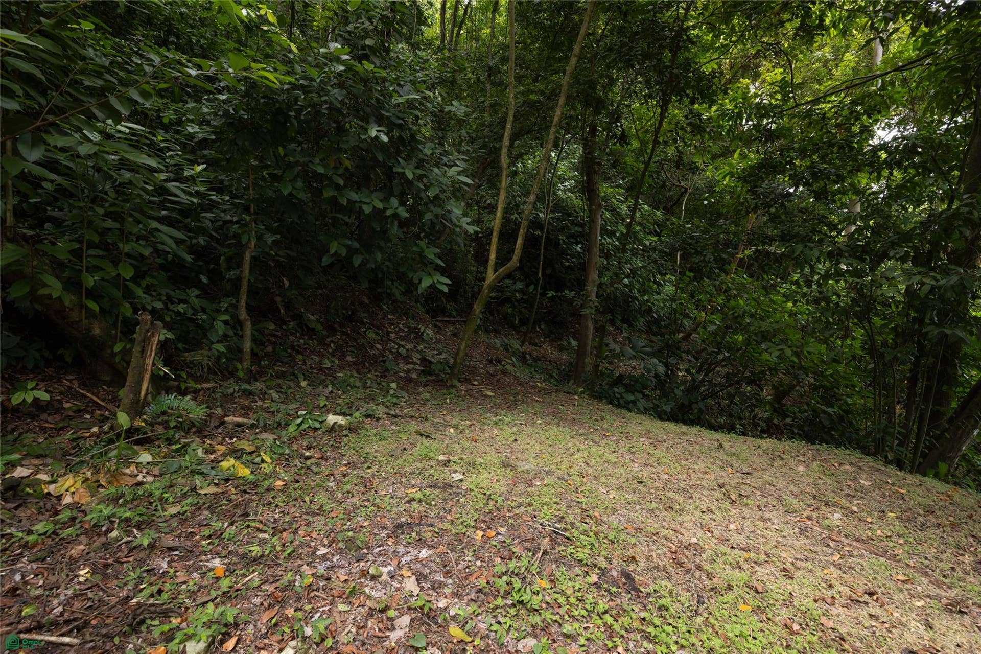 Manuel Antonio, Quepos, Quepos, Puntarenas, Costa Rica 60601