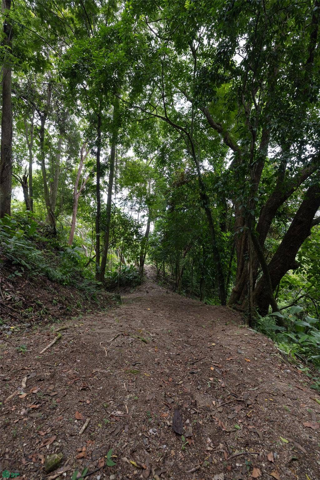 Manuel Antonio, Quepos, Quepos, Puntarenas, Costa Rica 60601