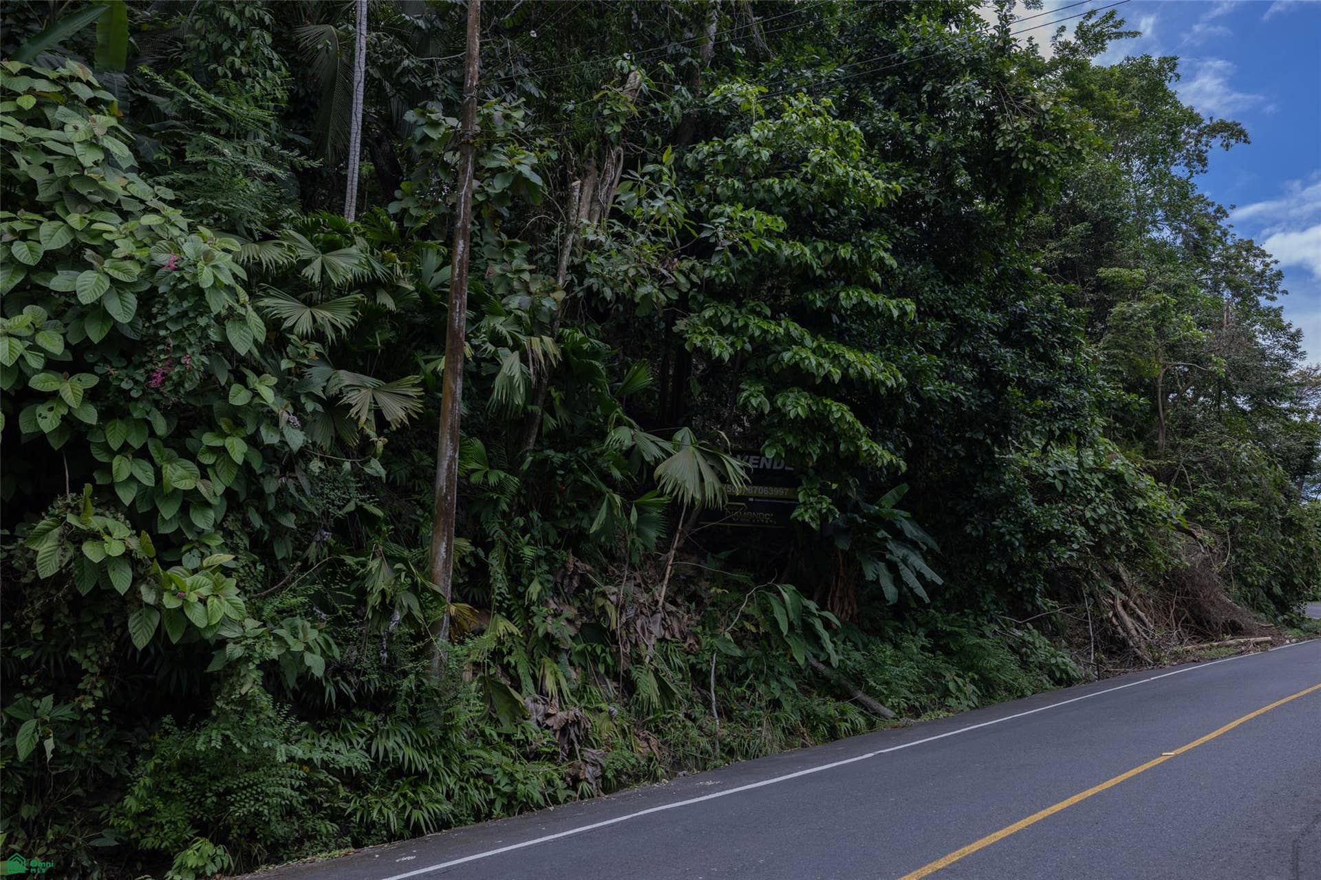 Manuel Antonio, Quepos, Quepos, Puntarenas, Costa Rica 60601