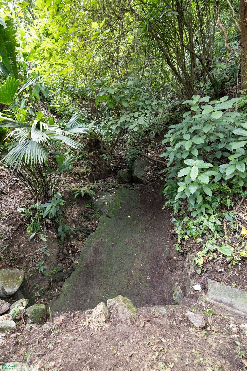 Manuel Antonio, Quepos, Quepos, Puntarenas, Costa Rica 60601