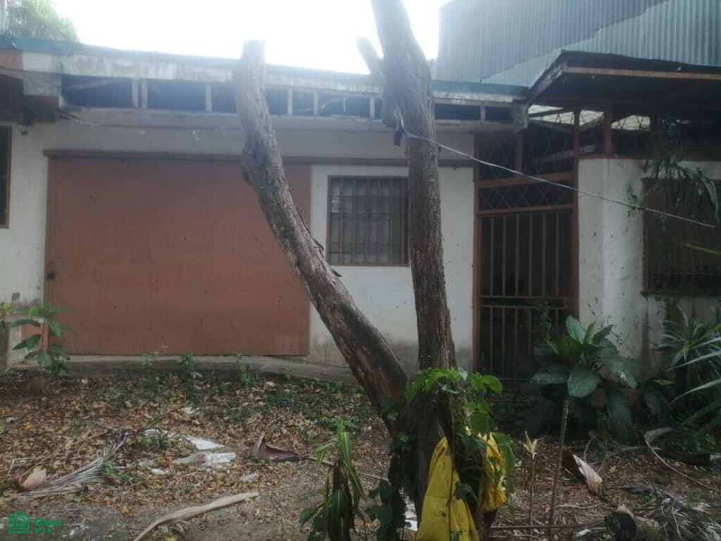 Desamparados San Jose