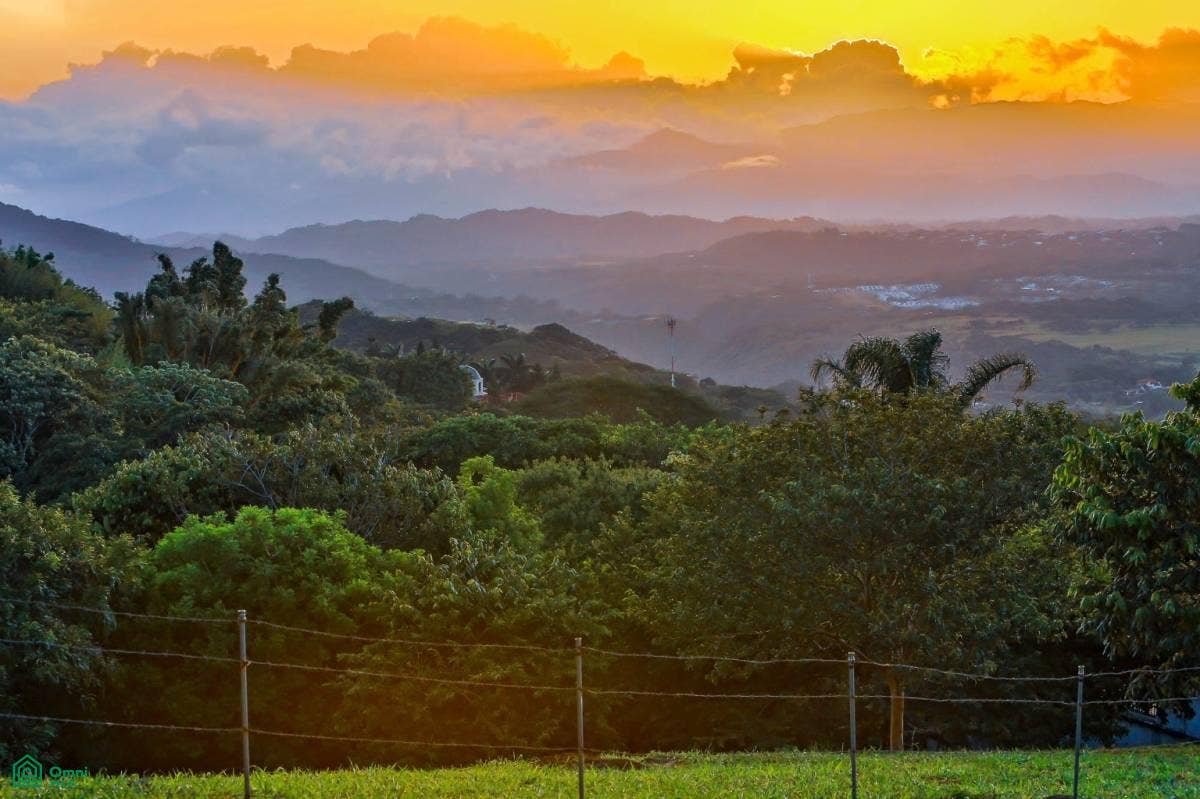 Above The Rest, Coln, Mora, San Jose, Costa Rica Above The Rest, Coln, Mora, San Jose, Costa Rica