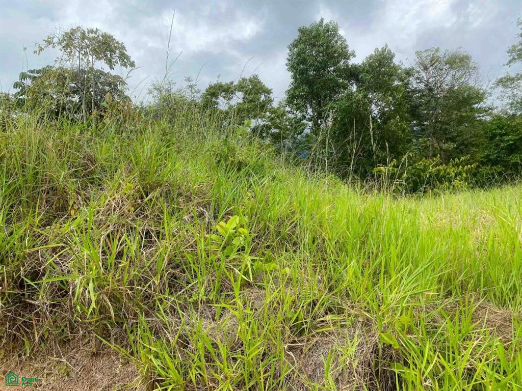 Affordable Lot Established Gated Community Chonta Puntarenas