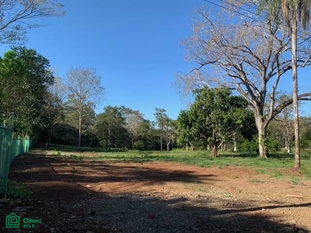 C6   Av6 Puntarenas
