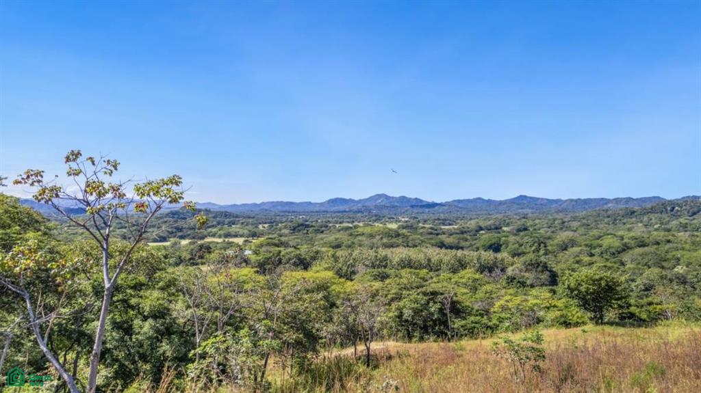 Finca La Caoba Santa Cruz Guanacaste