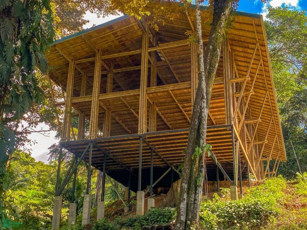 Uvita Baha Ballena Puntarenas