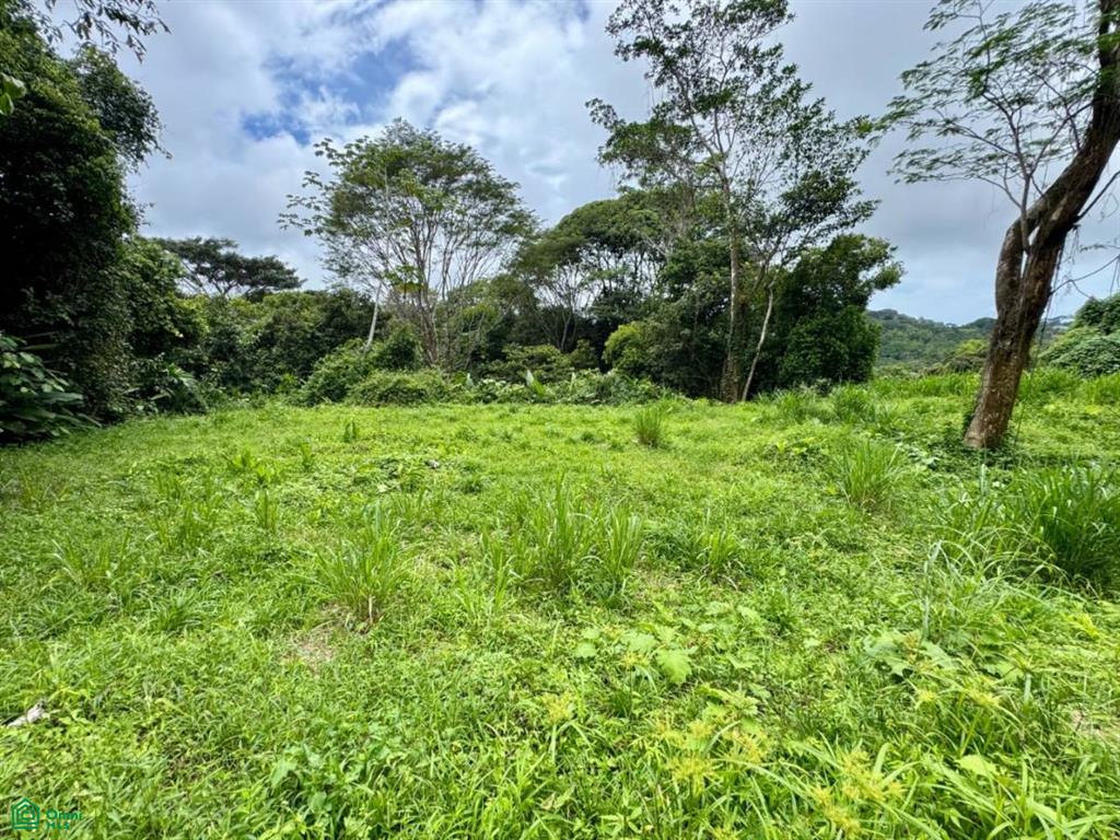 Lagunas Puntarenas