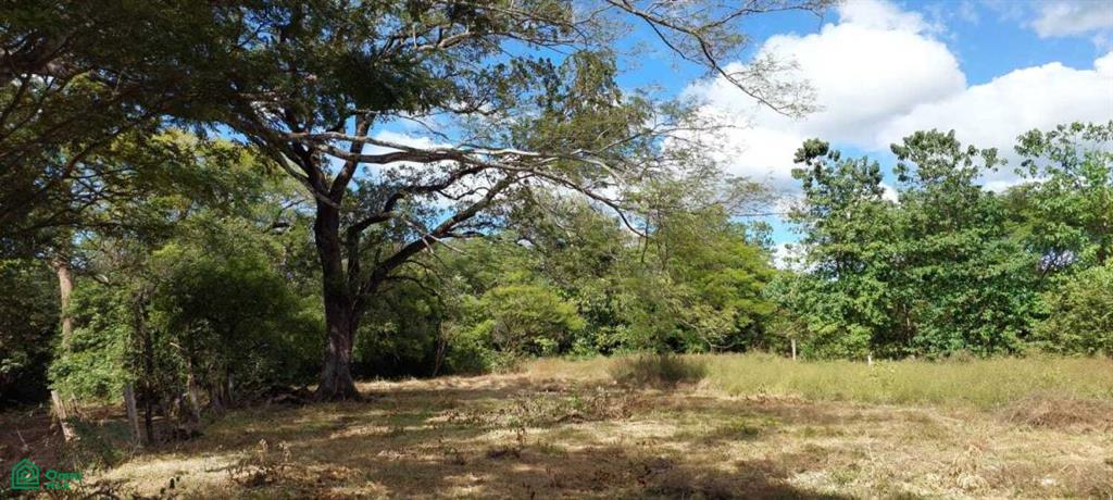 Lagarita Nueva Lote 908m2 Tamarindo Guanacaste