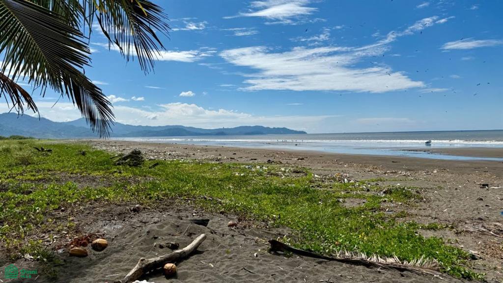 Guacalillo Puntarenas