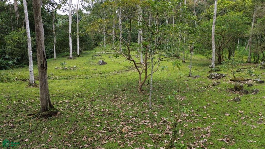 La Dominica, Turrialba, Turrialba, Turrialba, Cartago, Costa Rica 30501