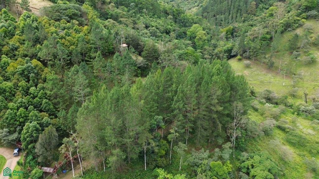 Dulce Nombre Turrialba Cartago