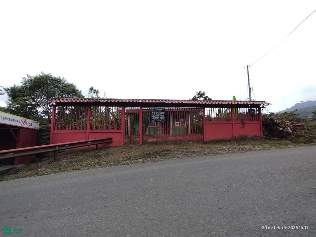 Platanillo Turrialba Cartago