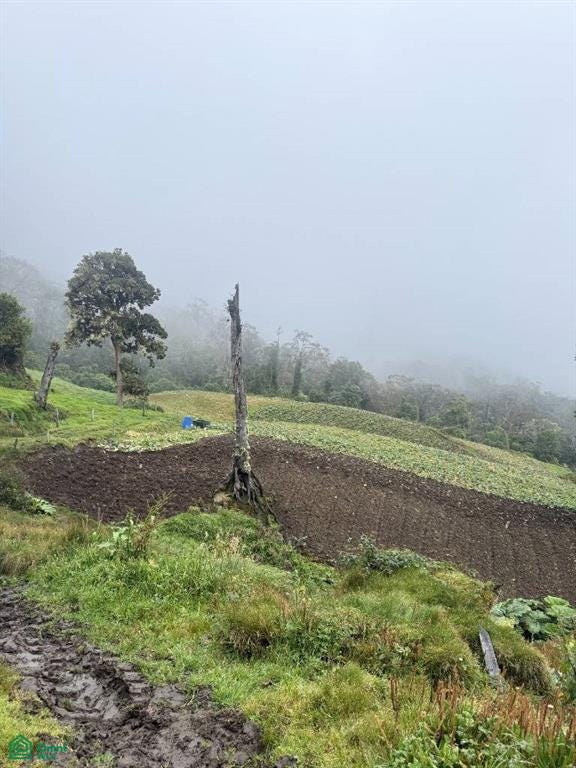 Las Virtudes, Santa Cruz, Turrialba, Turrialba, Cartago, Costa Rica 30504