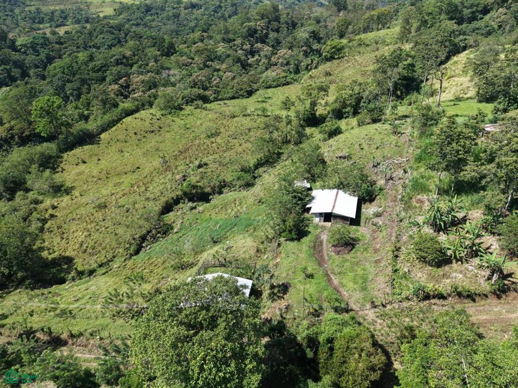 Guayabo, Turrialba, Turrialba, Turrialba, Cartago, Costa Rica 30501