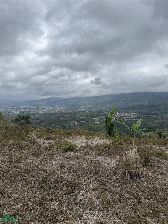 Verbena Norte Turrialba Cartago