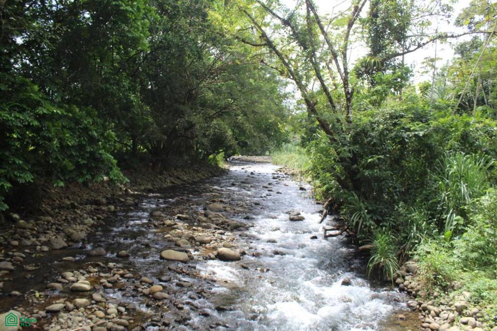 Alajuela, San Ramón Peñas Blancas, Peas Blancas, San Ramon, San Ramon, Alajuela, Costa Rica 20213
