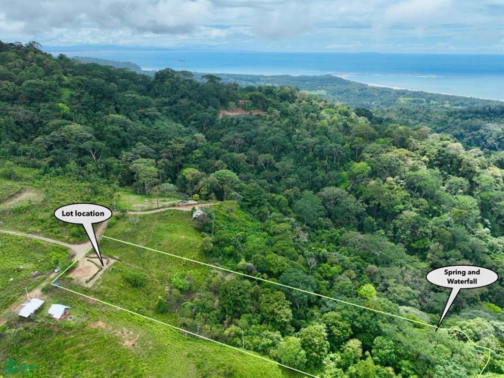Puntarenas