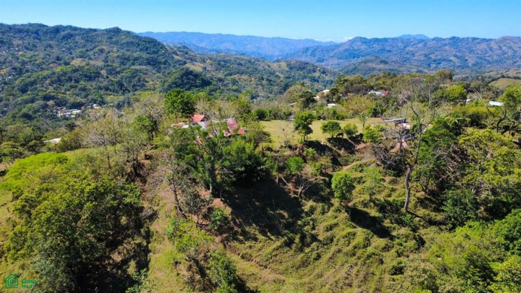 Tabarcia San Jose