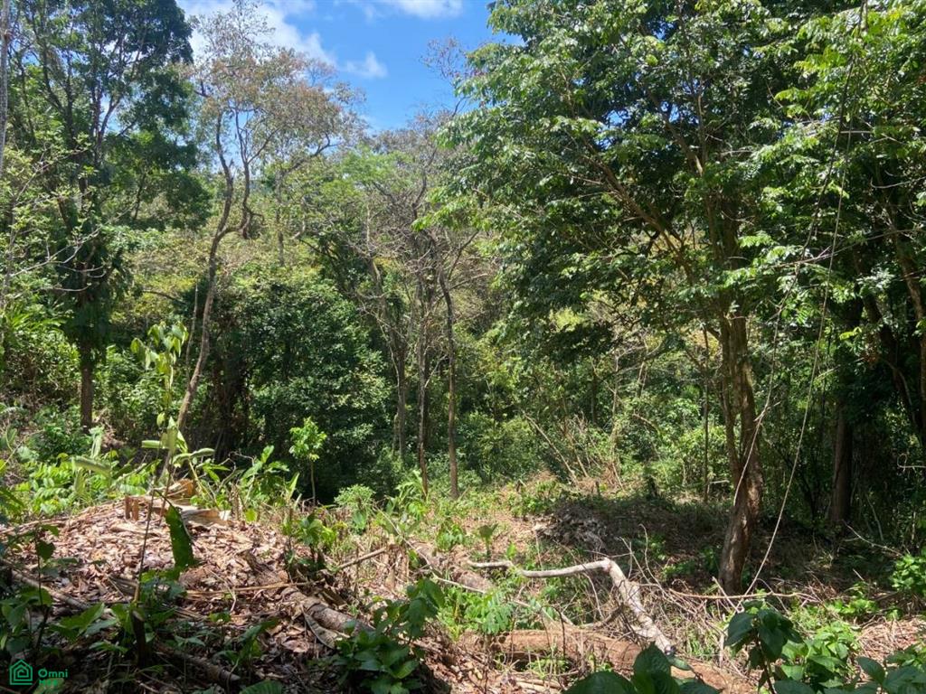 El Salto Estates Puntarenas