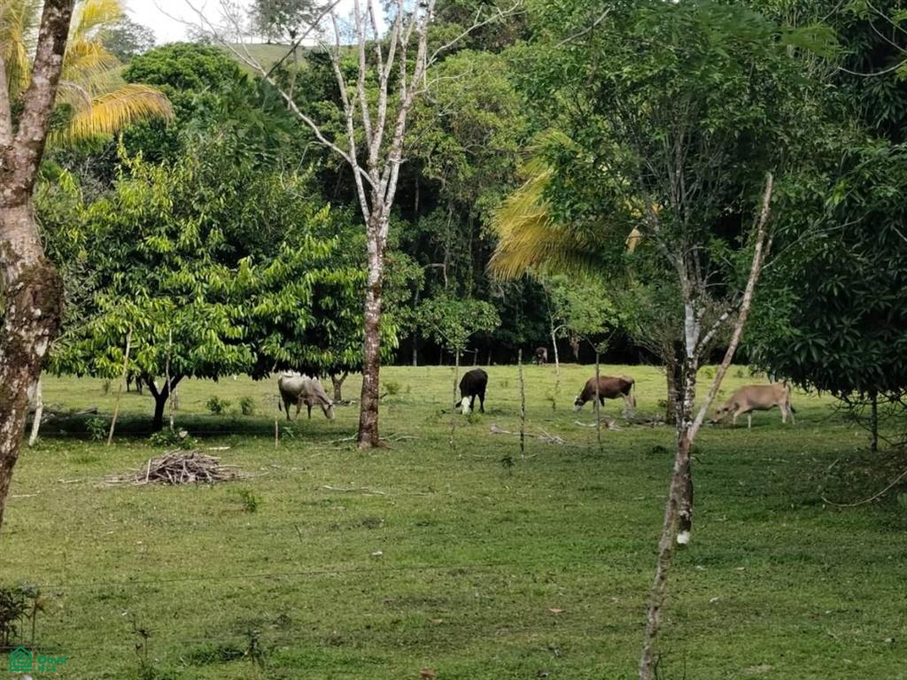Alajuela
