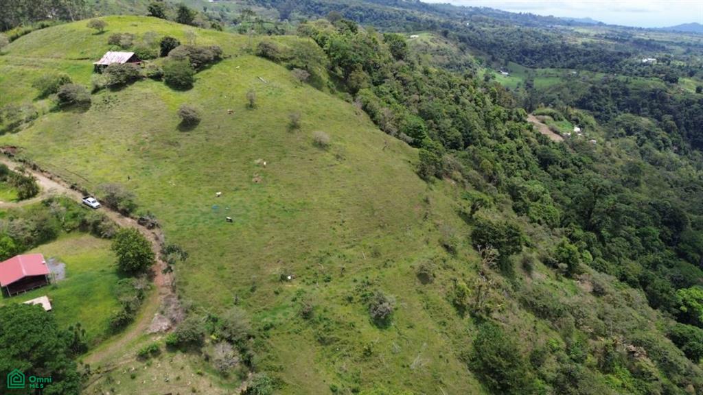 San Diego Turrialba Cartago