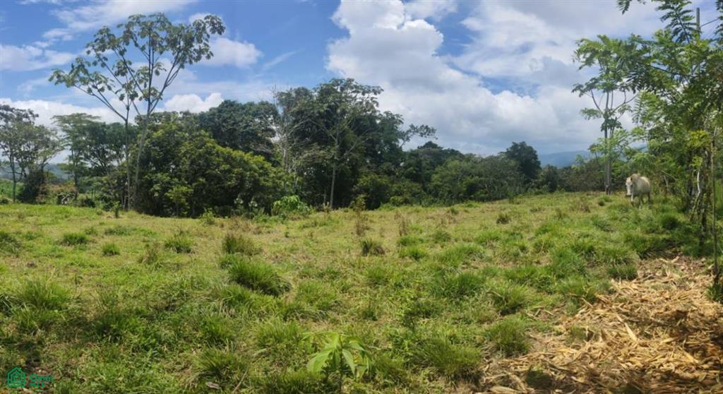 Alto Varas Turrialba Cartago