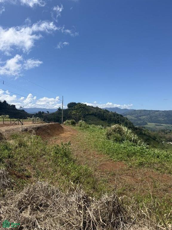 Pavones Turrialba Cartago
