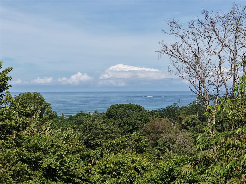 Barrio La Colonia Sn Bahia Ballena Puntarenas