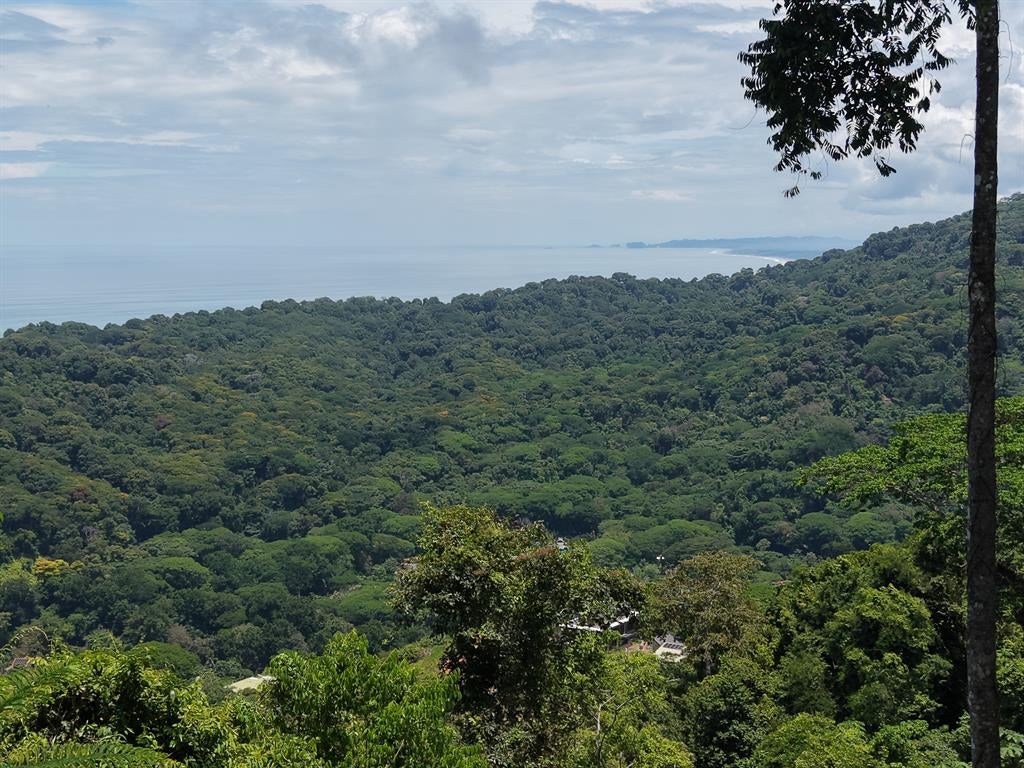 Vista Dominical Estates Lot 17 Puntarenas