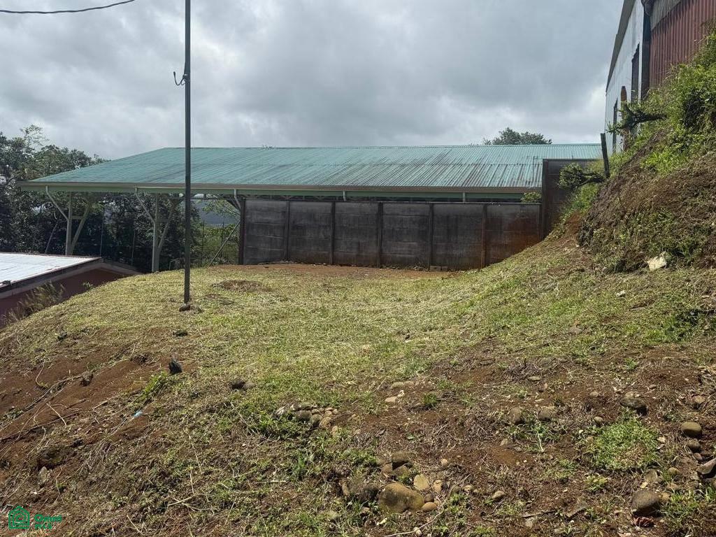 Cedral San Carlos Alajuela