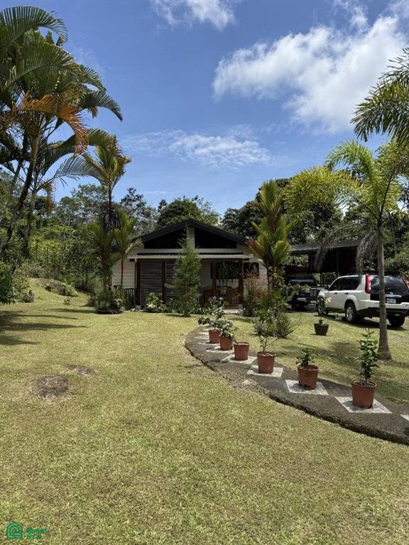 Jabillos Turrialba Cartago