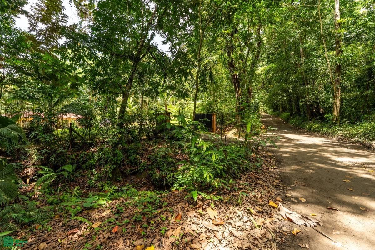 Puerto Corts, Osa, Puntarenas, Costa Rica Puerto Corts, Osa, Puntarenas, Costa Rica