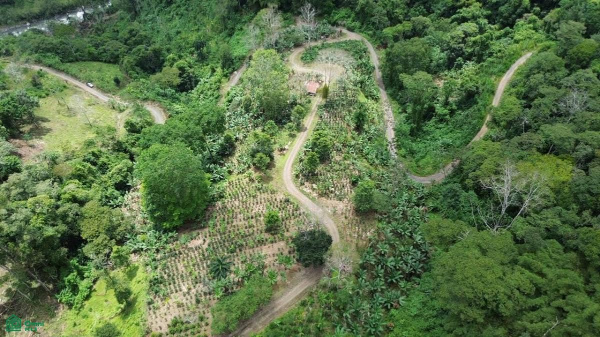 paso Marcos, Tayutic, Turrialba, Turrialba, Cartago, Costa Rica paso Marcos, Tayutic, Turrialba, Turrialba, Cartago, Costa Rica